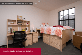 EVGR Premium Studio Thanksgiving through New Year (1.5 month) 2