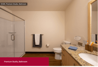 EVGR Premium Studio Thanksgiving through New Year (1.5 month) 3