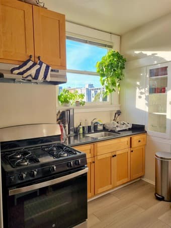 Sunny 1BR apartment in San Francisco, Lower Haight (Dec 7 - Jan 21) 3