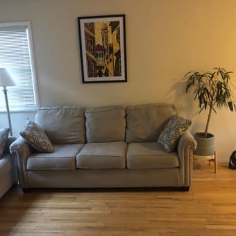 Couch (good condition) 1