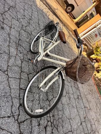 Schwinn Bike 1