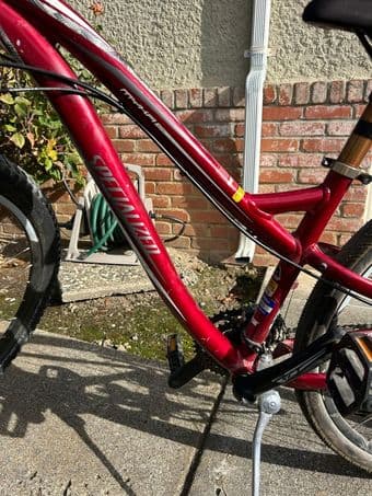 Specialized Mountain Bike 1