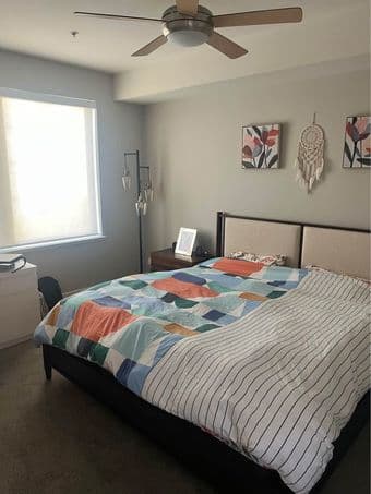 Sub leasing master 1b/1b in 2b/2b for a week 12/07 to 12/14 4