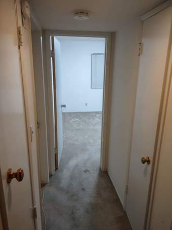 Large single room in apartment unit 1200/month 2