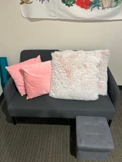 Pink (pony club) deco pillows 1