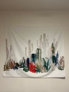 Wall decor / tapestries 2