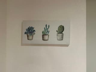 Wall decor (succulent canvas + clipboard) 2