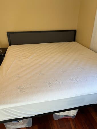 Beautyrest king size firm matress + bed frame+ mattress protector 4