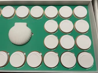 Brand New Parnell Foundation Gift Set (30 Foundations!) 3