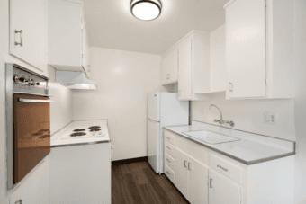 1B1B Apartment for Sublease in Mountain View 1