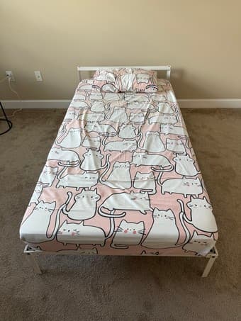 Moving sale:Twin bed,Ergonomic Chair, Electric Height Adjustable Desk 2