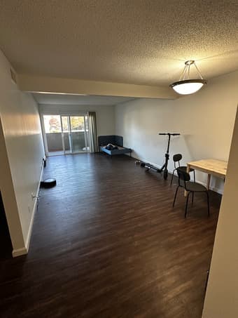 1 Bedroom available in Palo Alto 1