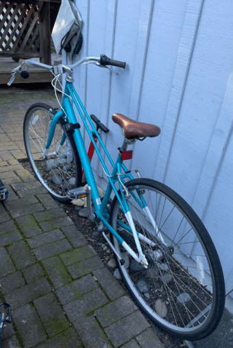 Brilliant Carmen 3 speed commuter bike in great condition (Size S) 1