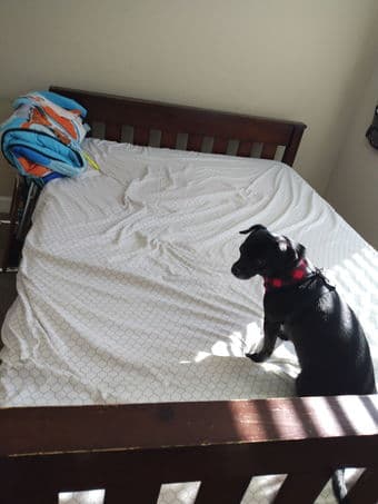 Move out sale - Stanford West free 1