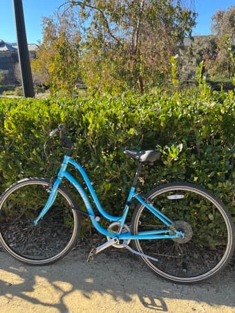 Jamis Citizen Bike for Sale 1