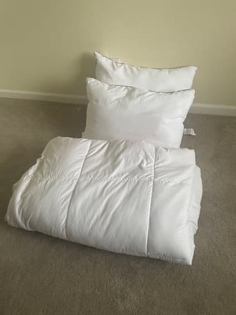 Comforter and 2 pillows for sale - excellent condition 1
