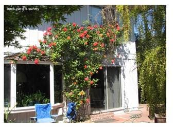 A lovely bedroom in a charming big house in midtown Palo Alto 4