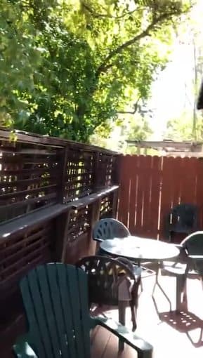 Spacious 1b1b near Sandford Dish, available in March 2