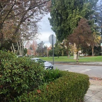 Private room available at Downtown Palo Alto 1