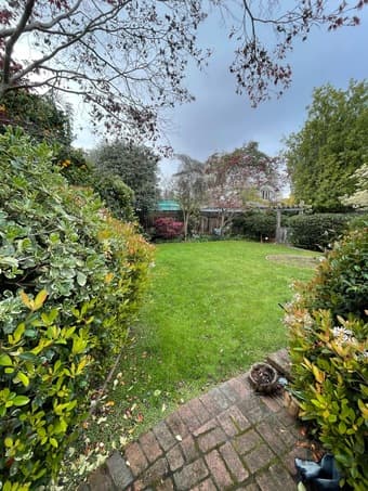 Room in Palo Alto House: Late March through May w/ Possible Extension 3