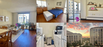 Furnished & Spacious 1B1B on Campus with Balcony, Free Util & Laundry 1