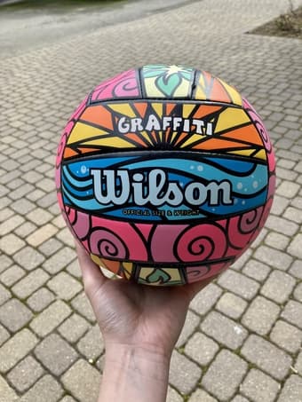 Wilson outdoor volleyball for sale 1