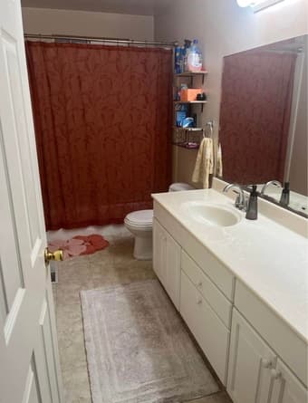 Private Room for Rent (Campbell) 3