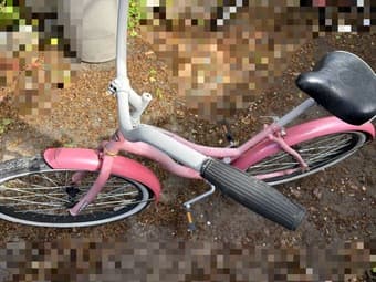 24" fat tire bike for girls 1