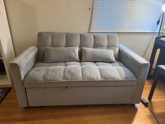 Pull Out Sofa 2