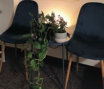 velvet cushion side chairs for sale 3