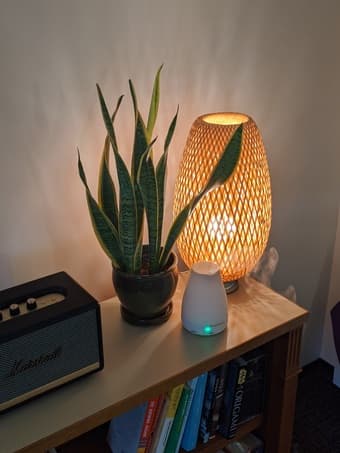 2 * Rattan Lamps with smart light bulbs 1