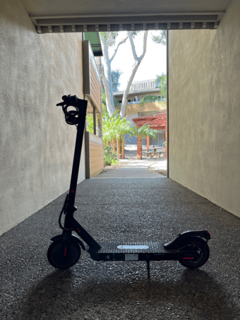 Scooter for Sale – Great Deal! 3