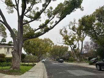 3 bedrooms in Palo Alto 10 min bike to campus 1