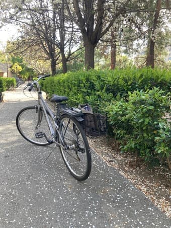 Norco 21-speed 28” bike + helmet + u-lock 2