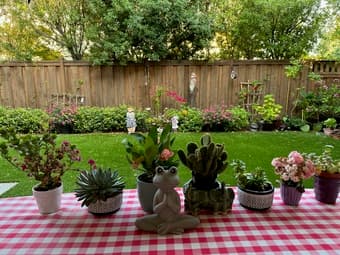 On-campus furnished bedroom in a beautiful house-move in ready 4