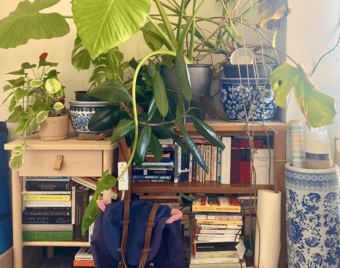 Blue & White Ceramic Planters & Vase 2