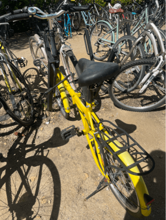 selling bicycle for $80 obo 1