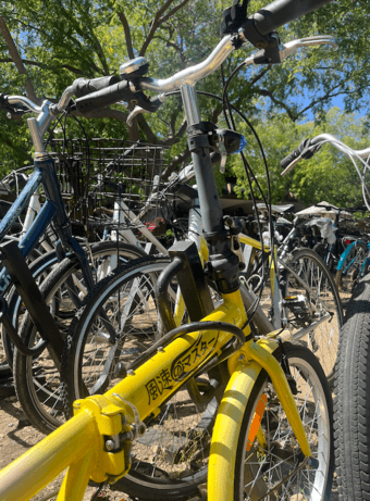 selling bicycle for $80 obo 2