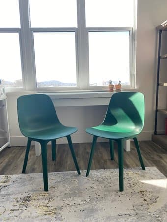 Moving sale- two dining chairs 1