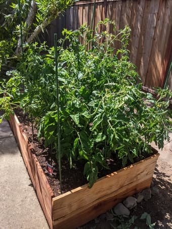 Great long-term 2/2 rental available in Cupertino 2