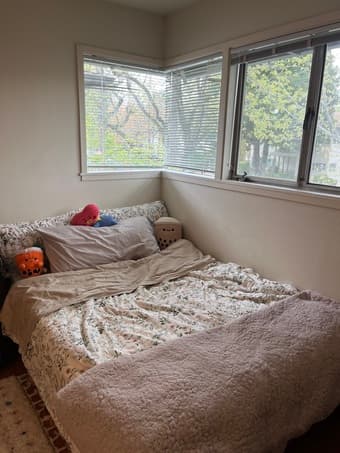 full size bamboo bedframe + tuft & needle mattress 1