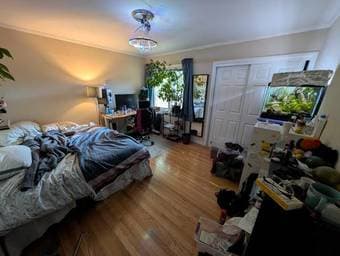 Rooms opening in bright, beautiful, creative community house (6br) 1