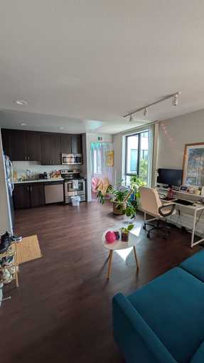 Studio in San Francisco (Mission) for sublet (flex: June-Sept) 2