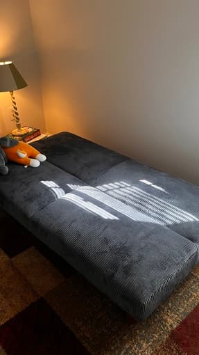 Flash sale for ONE WEEK! Sofa, lamps, mirror, etc 2