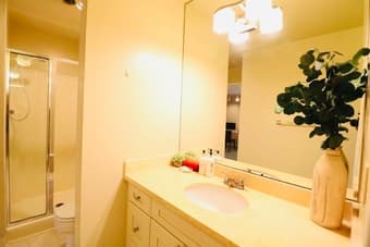 [For Rent] Spacious Bedroom in Mountain View 2B2B Condo 4