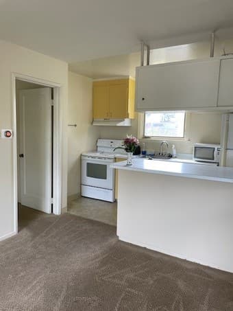 Downtown Mountain View 1