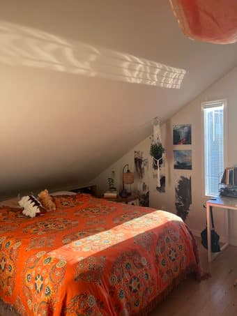 Beautiful artist loft in 3BR apartment in Mission, SF sublet June-Aug 3