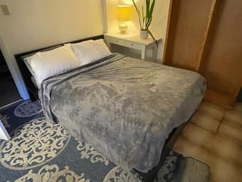 Queen bed + mattress 1