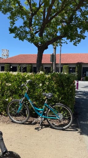 Women's Bike for Sale 1