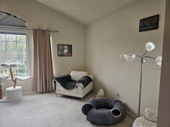 Private 1b/1b close to Stanford, Tesla available now thru 8/15 2